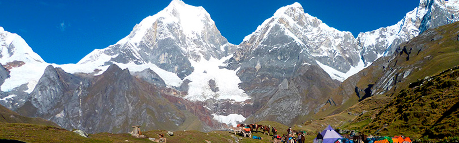 huayhuash queropalca