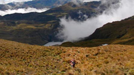 Peruvian mountains