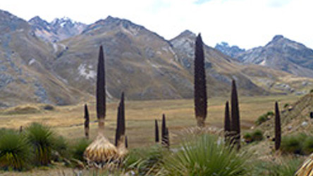 Peruvian mountains